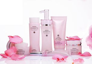 高效家居日用品批發(fā)的策略與市場機遇